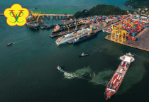 Thế Mạnh Hải Quan – Lợi Thế Cạnh Tranh Trong Dịch Vụ Logistics Thế Mạnh Hải Quan – Lợi Thế Cạnh Tranh Trong Dịch Vụ Logistics
