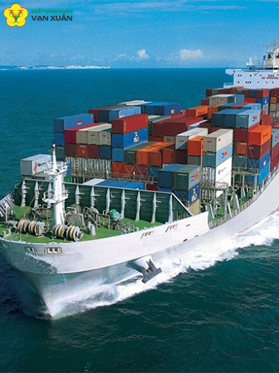 VẬN CHUYỂN CONTAINER